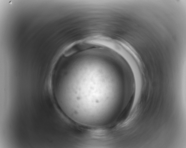 X0000088651293200706011214