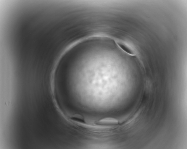 X0000088651295200706011214