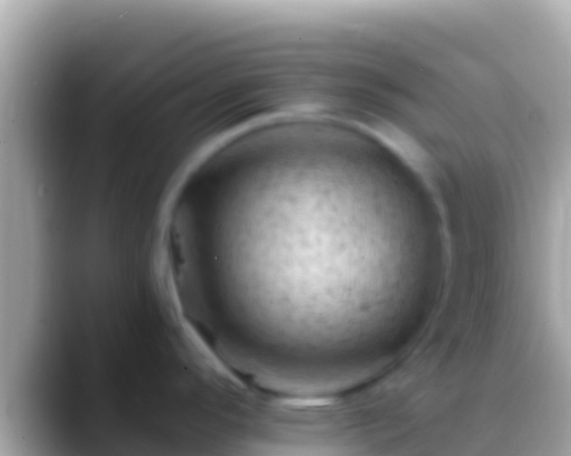 X0000088651296200706011214