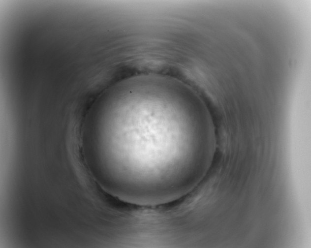 X0000088651297200706011213