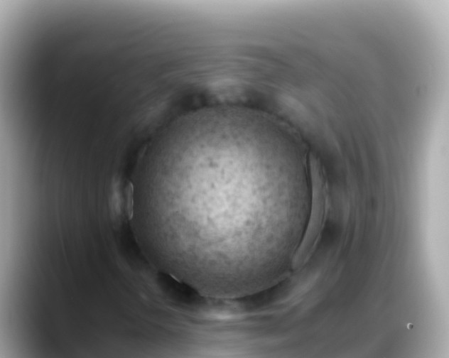 X0000088651298200706011213