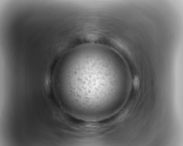 X0000088651299200706011213