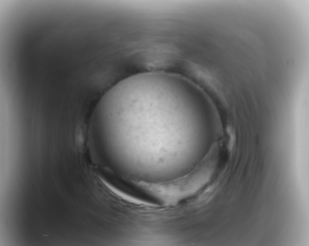 X0000088651300200706011213