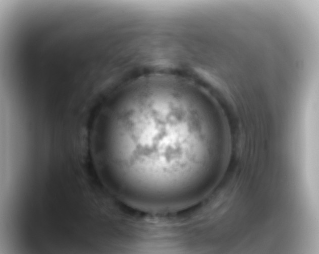 X0000088651301200706011213