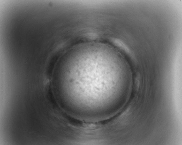 X0000088651302200706011213