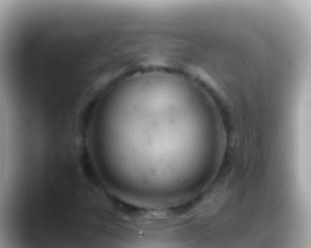 X0000088651303200706011213