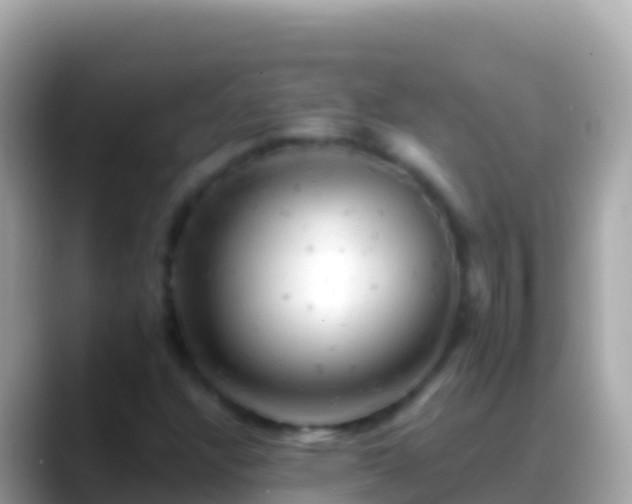 X0000088651304200706011213