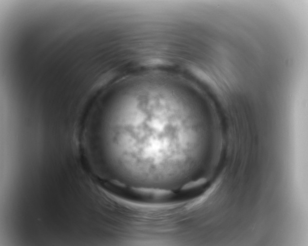 X0000088651305200706011213