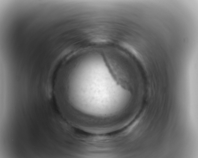 X0000088651306200706011214