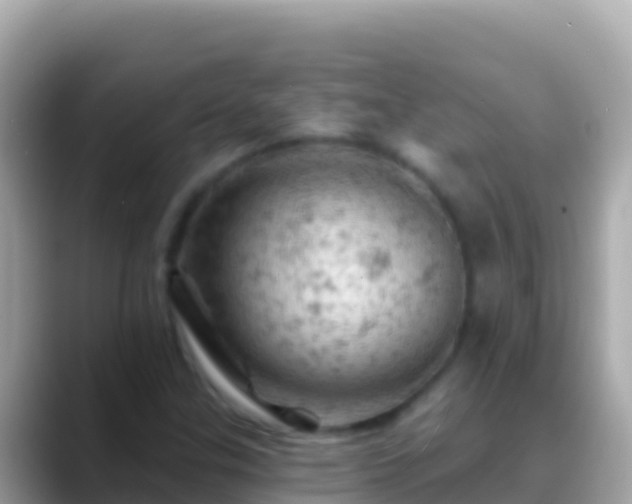X0000088651307200706011214