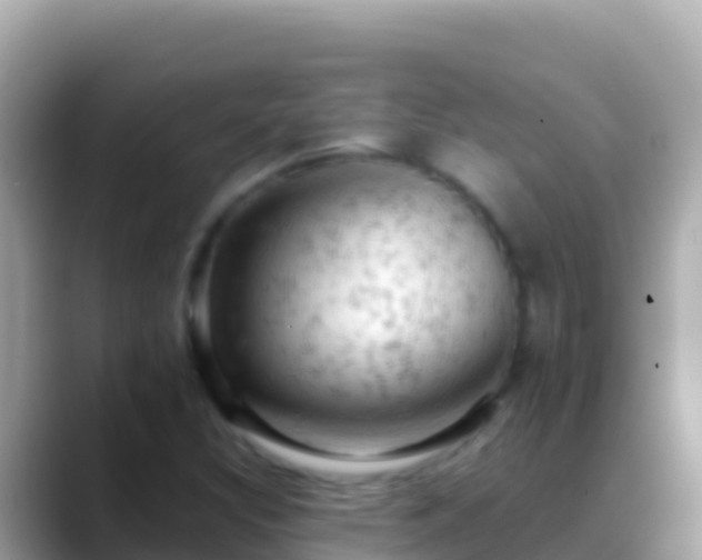 X0000088651308200706011214