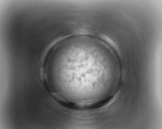 X0000088651310200706011214