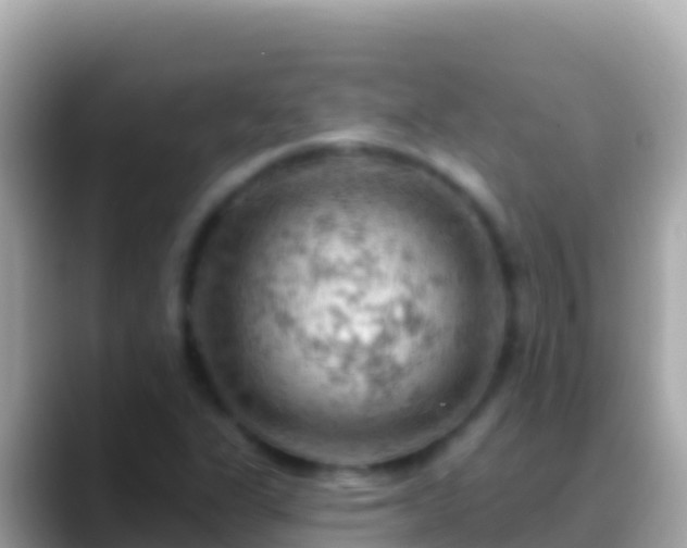 X0000088651311200706011214