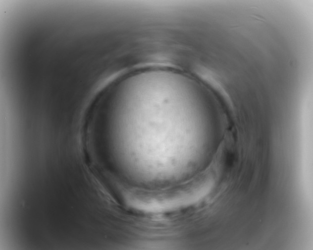 X0000088651312200706011214