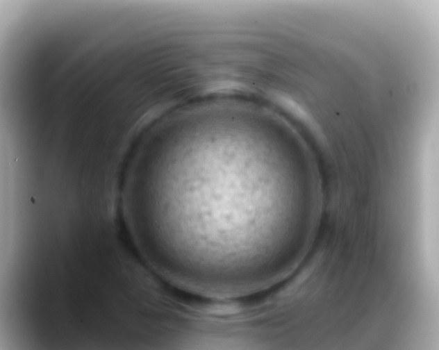 X0000088651313200706011214