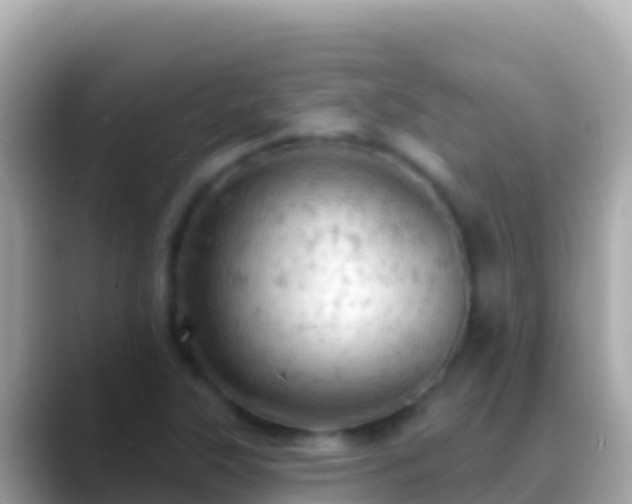 X0000088651315200706011214