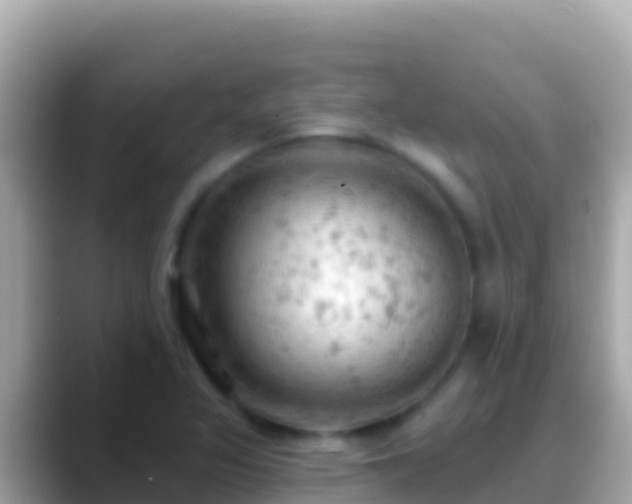 X0000088651317200706011214