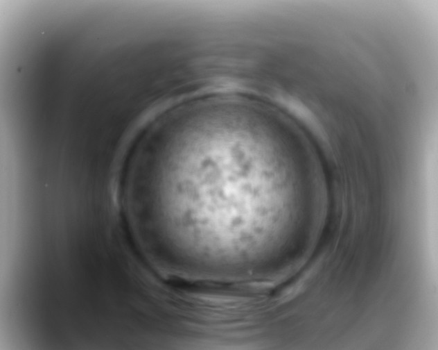 X0000088651318200706011214