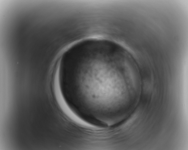 X0000088651319200706011214