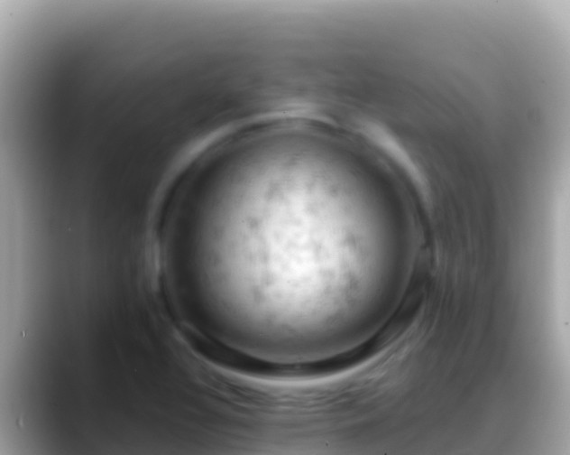 X0000088651320200706011214
