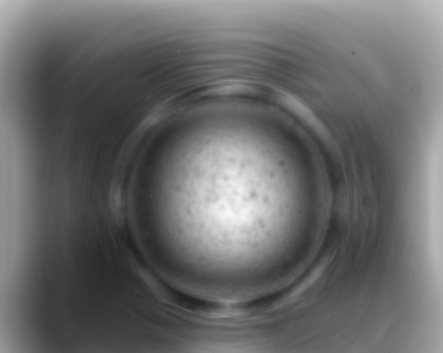 X0000088651321200706011214
