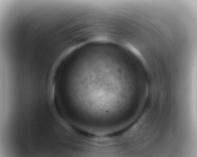 X0000088651323200706011214