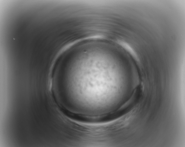 X0000088651324200706011214