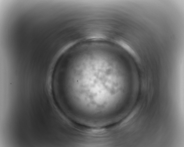 X0000088651325200706011214