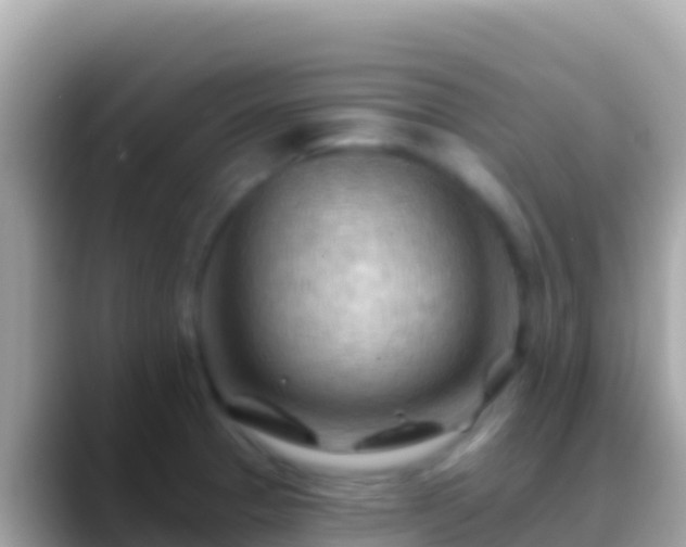 X0000088651329200706011214