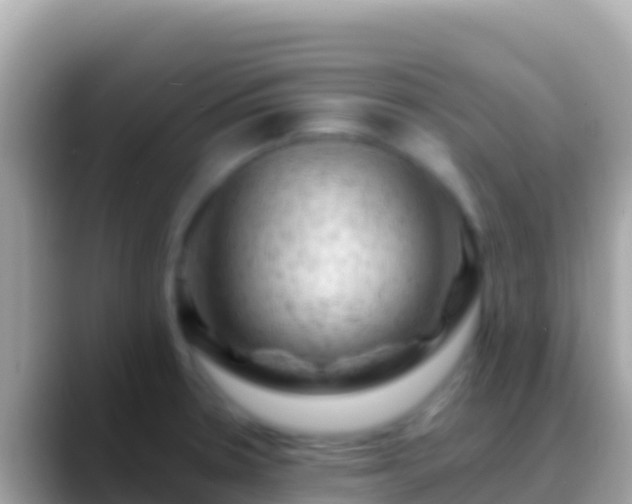 X0000088651330200706011214