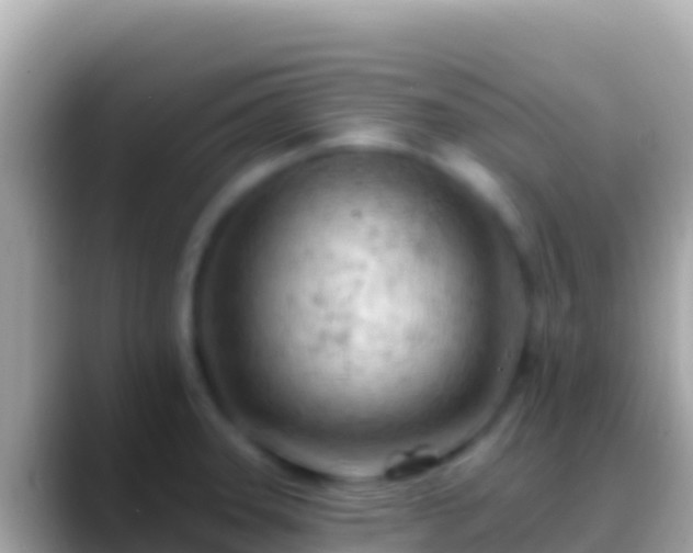 X0000088651331200706011214