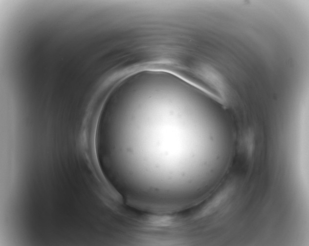X0000088651332200706011214