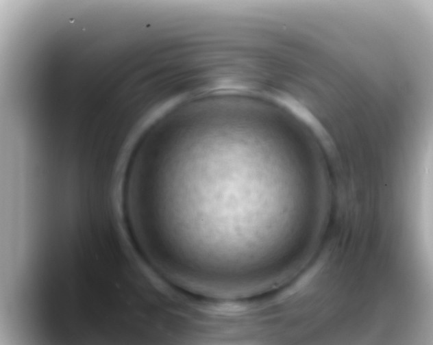 X0000088651333200706011214