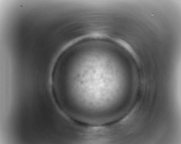 X0000088651335200706011214