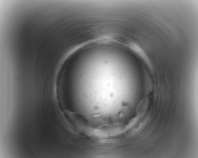 X0000088651336200706011214