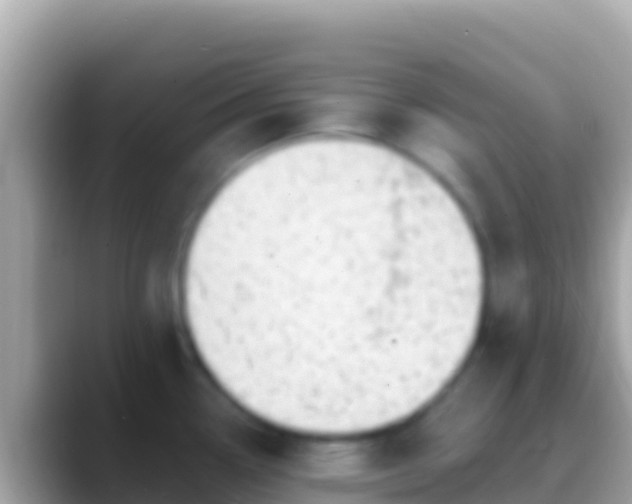 X0000088651338200706011214