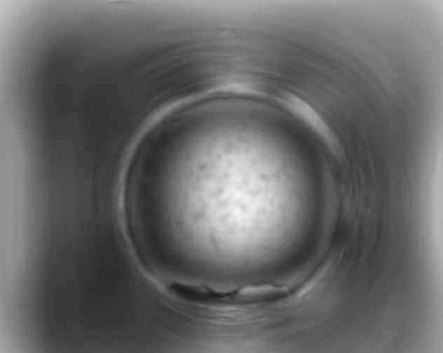 X0000088651339200706011214