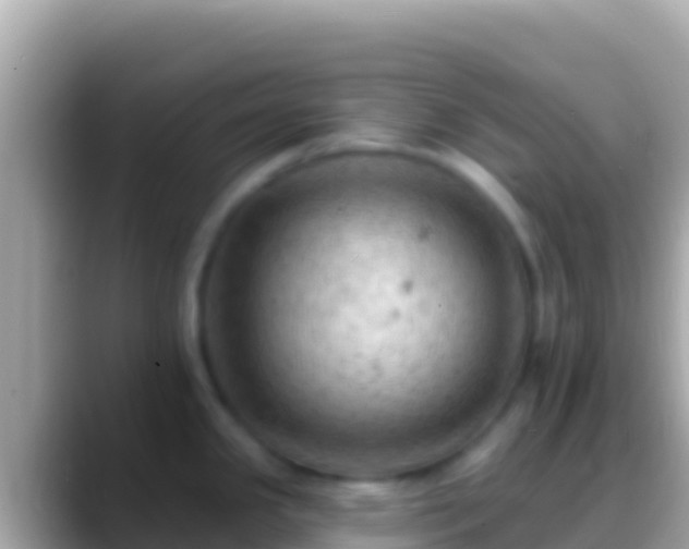 X0000088651341200706011214