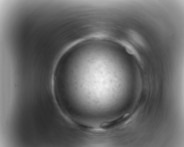 X0000088651343200706011214