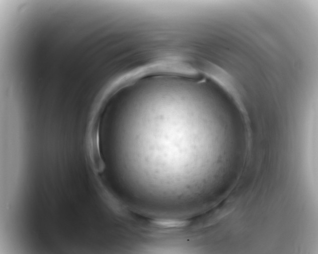 X0000088651344200706011214