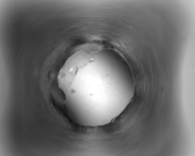X0000088651345200706011213