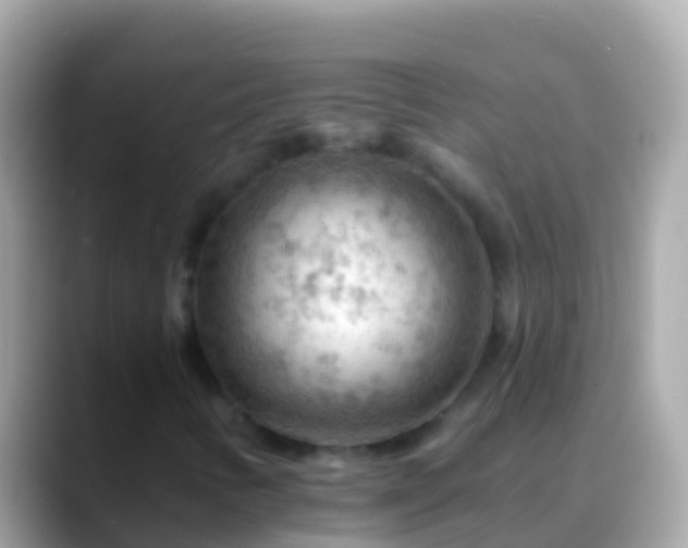 X0000088651346200706011213