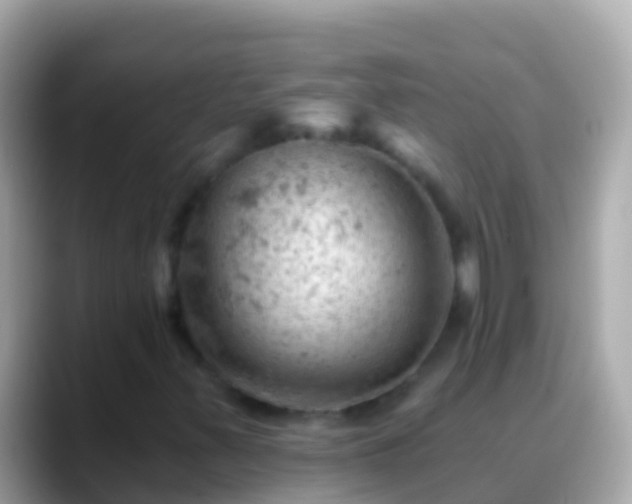 X0000088651347200706011213