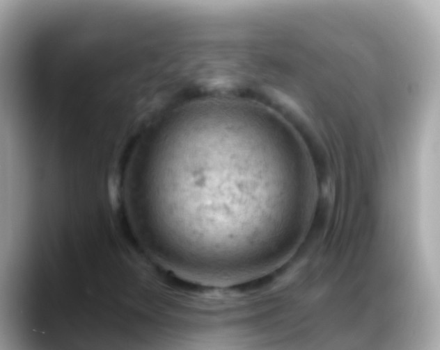 X0000088651348200706011213