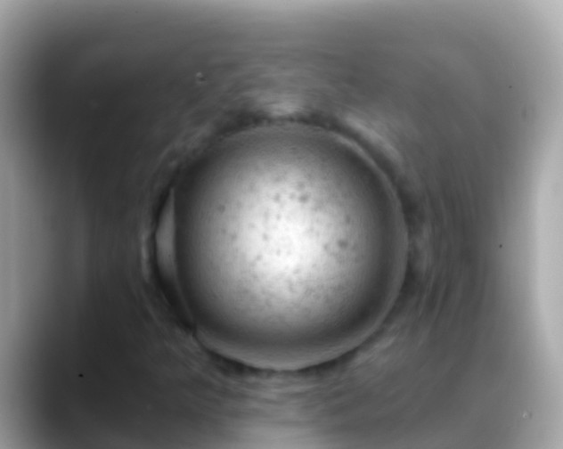 X0000088651349200706011213