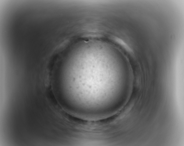 X0000088651350200706011213