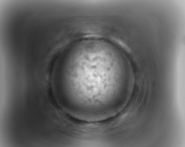 X0000088651351200706011213