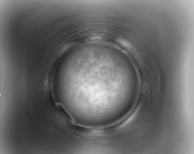 X0000088651353200706011213