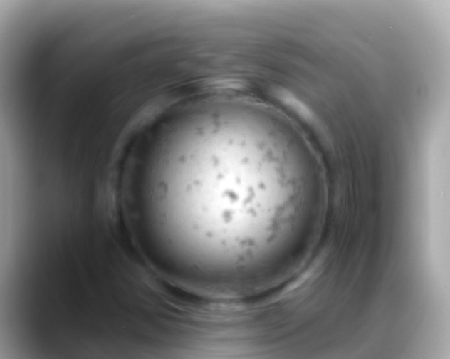 X0000088651354200706011213