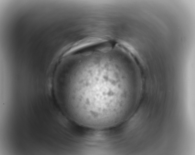 X0000088651355200706011213